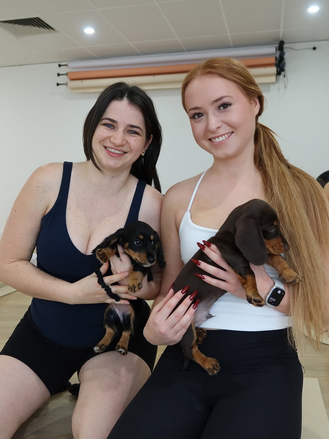 Happy dachshund family